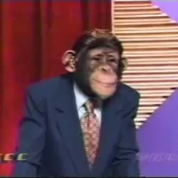 The Chimp Channel