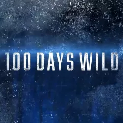 100 Days Wild