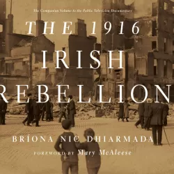 1916: The Irish Rebellion