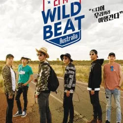 2PM Wild Beat