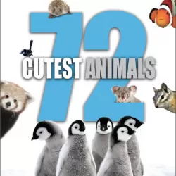 72 Cutest Animals