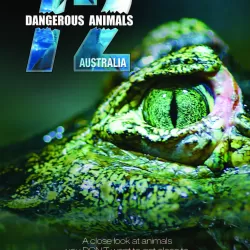 72 Dangerous Animals Australia