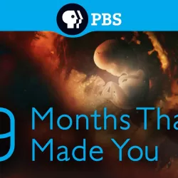 9 Months That Made You