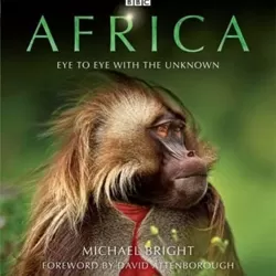 Africa Eye