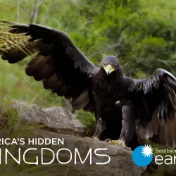 Africa's Hidden Kingdoms