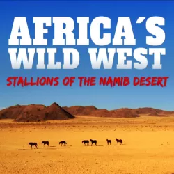 Africa's Wild West - Stallions of the Namib Desert