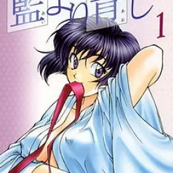 Ai Yori Aoshi