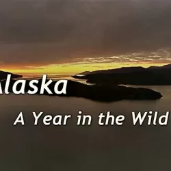 Alaska: A Year in the Wild