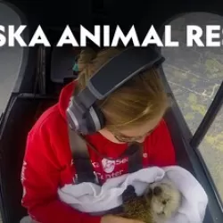 Alaska Animal Rescue