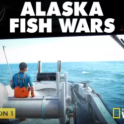 Alaska Fish Wars