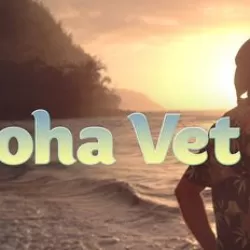 Aloha Vet