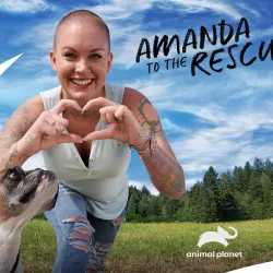 Amanda to the Rescue