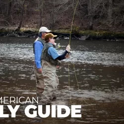 American Fly Guide