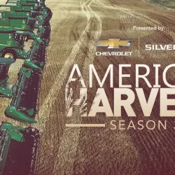 American Harvest