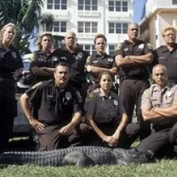 Animal Cops: Miami