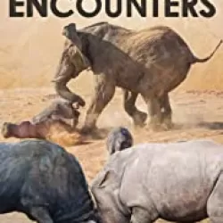 Animal Encounters