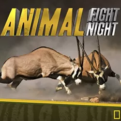 Animal Fight Night