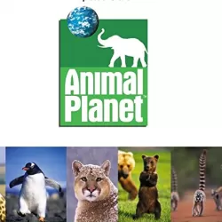 Animal Planet Report