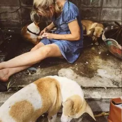 Animal Rescue Thailand