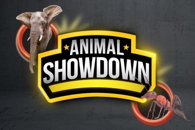 Animal Showdown