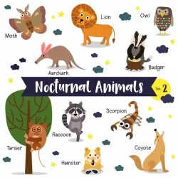 Animales nocturnos