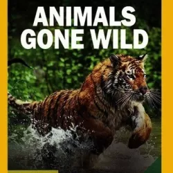 Animals Gone Wild