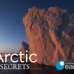 Arctic Secrets