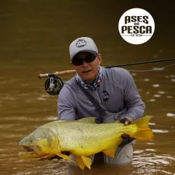 Ases da Pesca em Ação