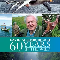 Attenborough: 60 Years In The Wild