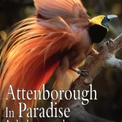 Attenborough in Paradise and Other Personal Voyages