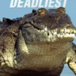 Australia's Deadliest