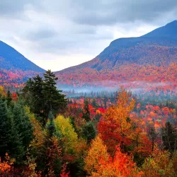 Autumnwatch New England