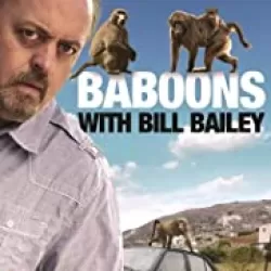 Baboons with Bill Bailey