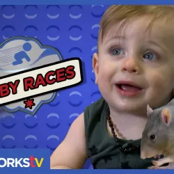 Baby Races