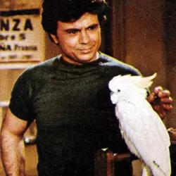 Baretta