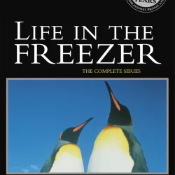 BBC Life in the Freezer