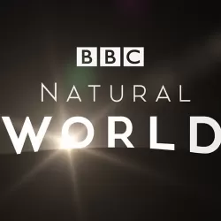 BBC Natural World