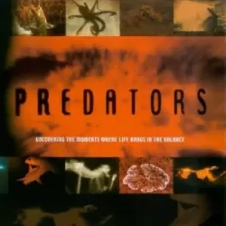 BBC Predators