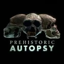 BBC Prehistoric Autopsy