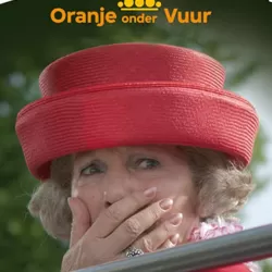 Beatrix, Oranje onder vuur