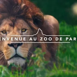 Bienvenue au Zoo de Paris !