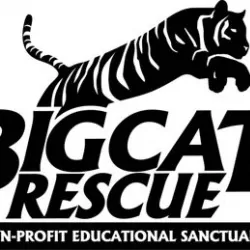 Big Animal Rescue