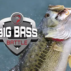 Big Bass Battle