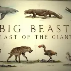 Big Beasts: Last of the Giants