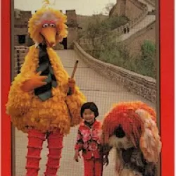 Big Bird in China