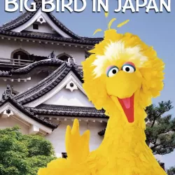 Big Bird in Japan