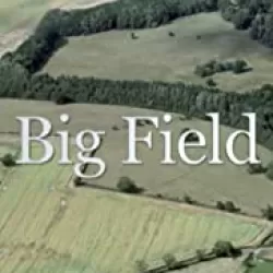 Big Field