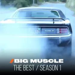 Big Muscle: The Best Of