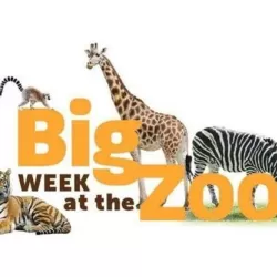 Big Week at the Zoo