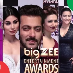 Big Zee Entertainment Awards 2017